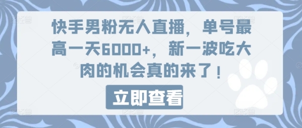 快手男粉无人直播，单号最高一天6000+，新一波吃大肉的机会真的来了 - 163资源网-163资源网