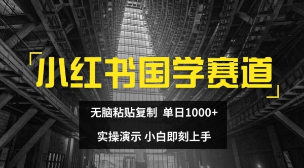 小红书国学赛道，无脑粘贴复制，单日1K，实操演示，小白即刻上手【揭秘】 - 163资源网-163资源网