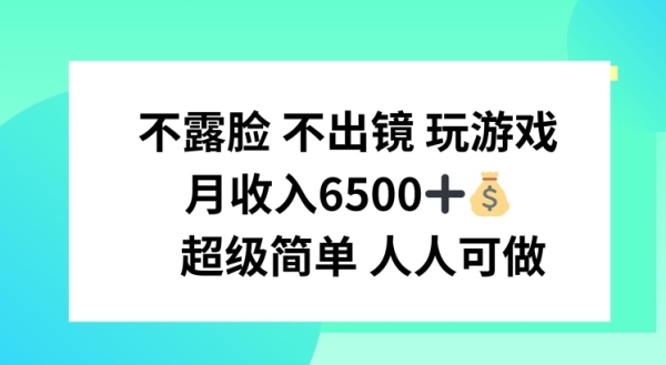 不露脸 不出境 玩游戏，月入6500 超级简单 人人可做【揭秘】 - 163资源网-163资源网