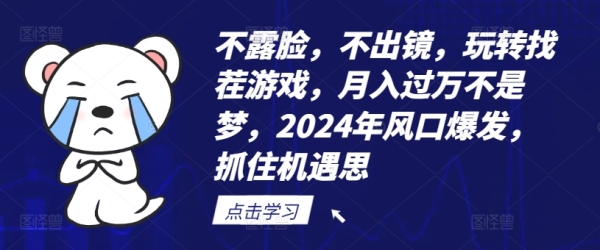 不露脸，不出镜，玩转找茬游戏，月入过万不是梦，2024年风口爆发，抓住机遇【揭秘】 - 163资源网-163资源网