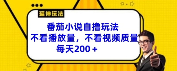 番茄小说自撸玩法，不看播放量，不看视频质量，每天200+【揭秘】 - 163资源网-163资源网