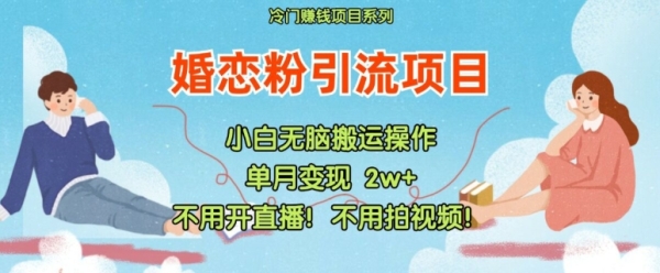 小红书婚恋粉引流，不用开直播，不用拍视频，不用做交付【揭秘】 - 163资源网-163资源网