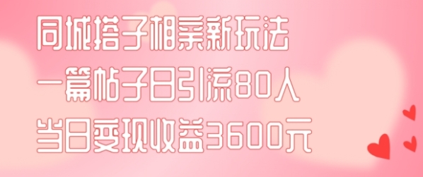 同城搭子相亲新玩法一篇帖子引流80人当日变现3600元(项目教程+实操教程)【揭秘】 - 163资源网-163资源网