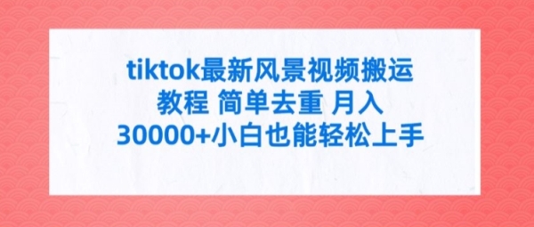 tiktok最新风景视频搬运教程 简单去重 月入3W+小白也能轻松上手【揭秘】 - 163资源网-163资源网