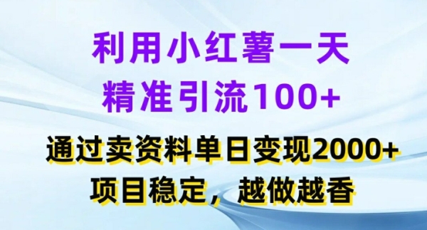 利用小红书一天精准引流100+，通过卖项目单日变现2k+，项目稳定，越做越香【揭秘】 - 163资源网-163资源网