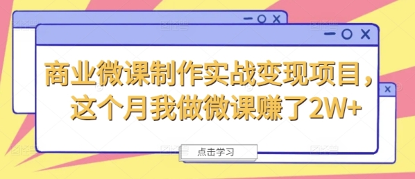 商业微课制作实战变现项目，这个月我做微课赚了2W+ - 163资源网-163资源网