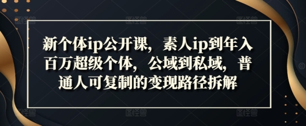 新个体ip公开课，素人ip到年入百万超级个体，公域到私域，普通人可复制的变现路径拆解 - 163资源网-163资源网