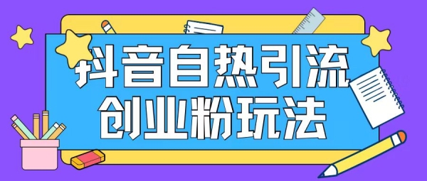 抖音引流创业粉自热玩法日引200+精准粉 - 163资源网-163资源网