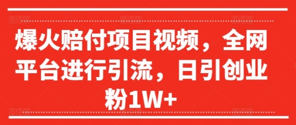 爆火赔付项目视频，全网平台进行引流，日引创业粉1W+【揭秘】 - 163资源网-163资源网