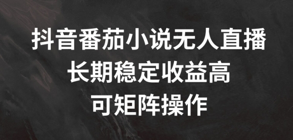 抖音番茄小说无人直播，长期稳定收益高，可矩阵操作【揭秘】 - 163资源网-163资源网