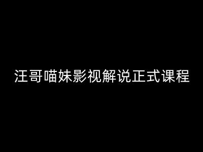 汪哥影视解说正式课程：剪映/PR教学/视解说剪辑5大黄金法则/全流程剪辑7把利器等等 - 163资源网-163资源网