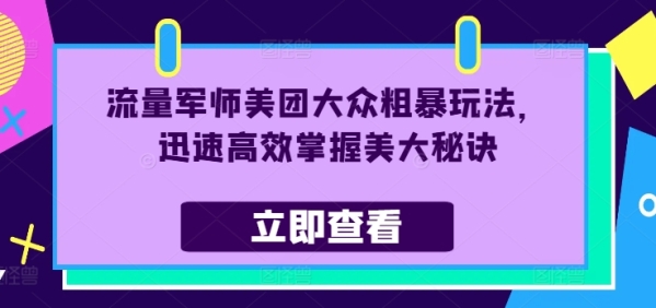 流量军师美团大众粗暴玩法，迅速高效掌握美大秘诀 - 163资源网-163资源网