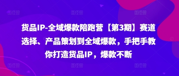 货品IP全域爆款陪跑营【第3期】赛道选择、产品策划到全域爆款，手把手教你打造货品IP，爆款不断 - 163资源网-163资源网