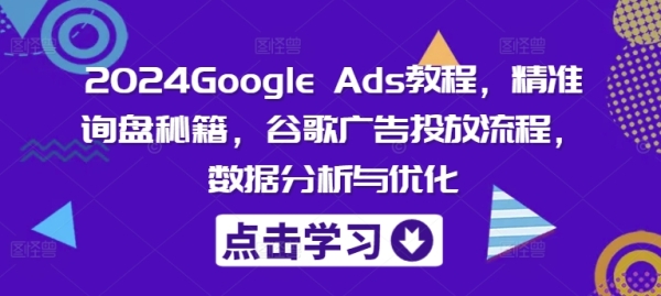 2024Google Ads教程，精准询盘秘籍，谷歌广告投放流程，数据分析与优化 - 163资源网-163资源网