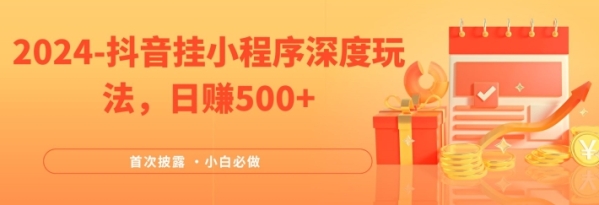 2024全网首次披露，抖音挂小程序深度玩法，日赚500+，简单、稳定，带渠道收入，小白必做【揭秘】 - 163资源网-163资源网