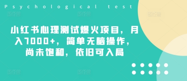 小红书心理测试爆火项目，月入7000+，简单无脑操作，尚未饱和，依旧可入局 - 163资源网-163资源网