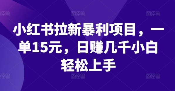 小红书拉新暴利项目，一单15元，日赚几千小白轻松上手【揭秘】 - 163资源网-163资源网