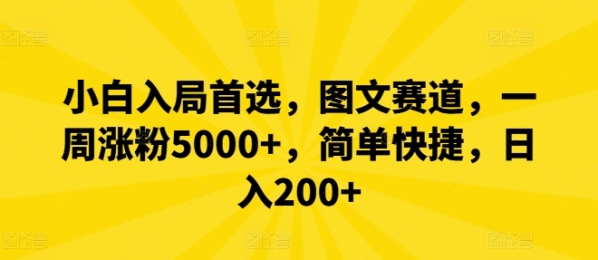 小白入局首选，图文赛道，一周涨粉5000+，简单快捷，日入200+ - 163资源网-163资源网