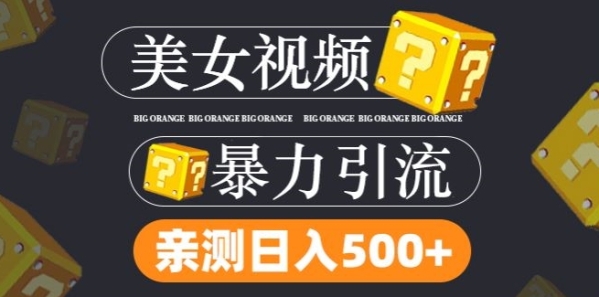 搬运tk美女视频全网分发，日引s粉300+，轻松变现，不限流量不封号【揭秘】 - 163资源网-163资源网