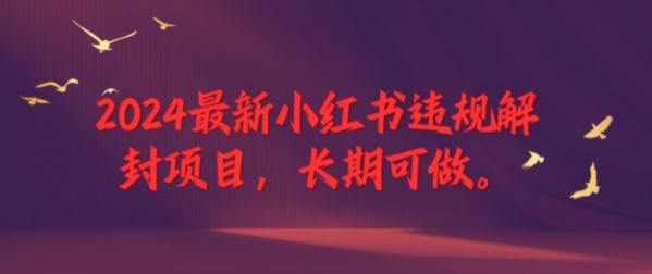 2024最新小红书违规解封项目，长期可做，一个可以做到退休的项目【揭秘】 - 163资源网-163资源网