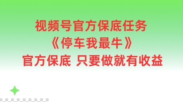 视频号官方保底任务，停车我最牛，官方保底只要做就有收益【揭秘】 - 163资源网-163资源网