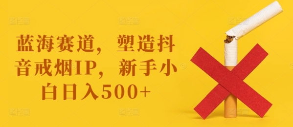 蓝海赛道，塑造抖音戒烟IP，新手小白日入500+【揭秘】 - 163资源网-163资源网