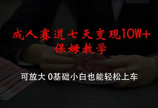 成人赛道七天变现10W+保姆教学，可放大，0基础小白也能轻松上车【揭秘】 - 163资源网-163资源网