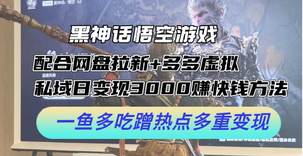 黑神话悟空游戏配合网盘拉新+多多虚拟+私域日变现3k+赚快钱方法，一鱼多吃蹭热点多重变现【揭秘】 - 163资源网-163资源网