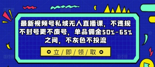 最新视频号私域无人直播课，不违规不封号更不废号，单品佣金50%-65%之间，不灰色不投流 - 163资源网-163资源网