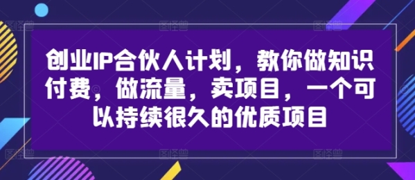 创业IP合伙人计划，教你做知识付费，做流量，卖项目，一个可以持续很久的优质项目 - 163资源网-163资源网