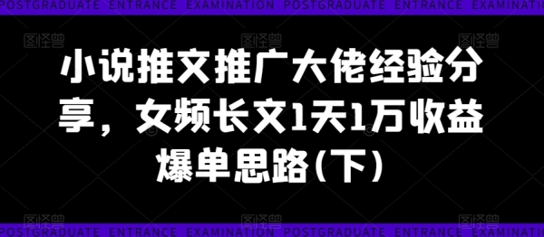 小说推文推广大佬经验分享，女频长文1天1万收益爆单思路(下) - 163资源网-163资源网