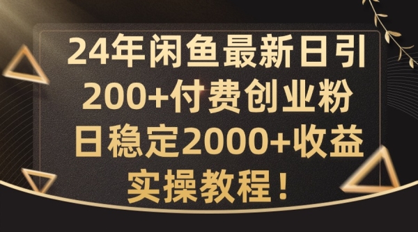 24年闲鱼最新日引200+付费创业粉日稳2000+收益，实操教程【揭秘】 - 163资源网-163资源网