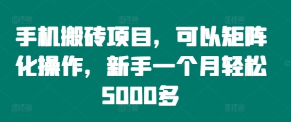 手机搬砖项目，可以矩阵化操作，新手一个月轻松5000多 - 163资源网-163资源网