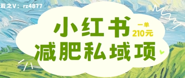 小红书减肥粉，私域变现项目，一单就达210元，小白也能轻松上手【揭秘】 - 163资源网-163资源网