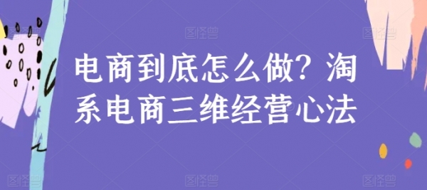 电商到底怎么做？淘系电商三维经营心法 - 163资源网-163资源网