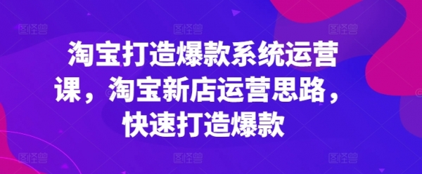 淘宝打造爆款系统运营课，淘宝新店运营思路，快速打造爆款 - 163资源网-163资源网