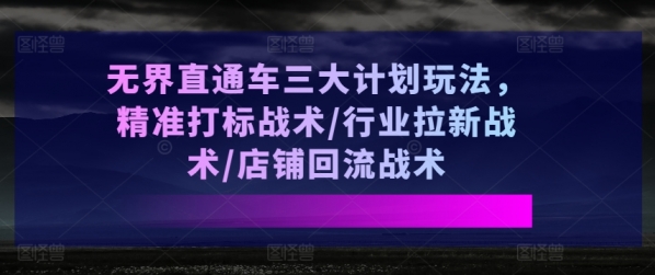 无界直通车三大计划玩法，精准打标战术/行业拉新战术/店铺回流战术 - 163资源网-163资源网