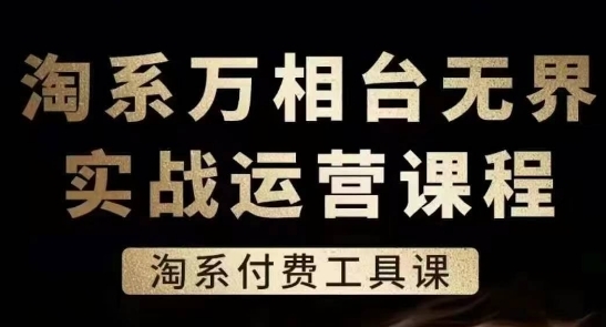 淘系万相台无界实战运营课，淘系付费工具课 - 163资源网-163资源网