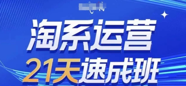 淘系运营21天速成班(更新24年7月)，0基础轻松搞定淘系运营，不做假把式 - 163资源网-163资源网