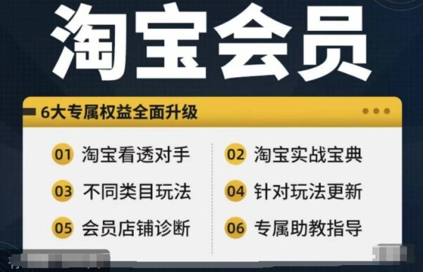 淘宝开店教程【淘宝所有课程，全面分析对手】，初级到高手全系实战宝典 - 163资源网-163资源网