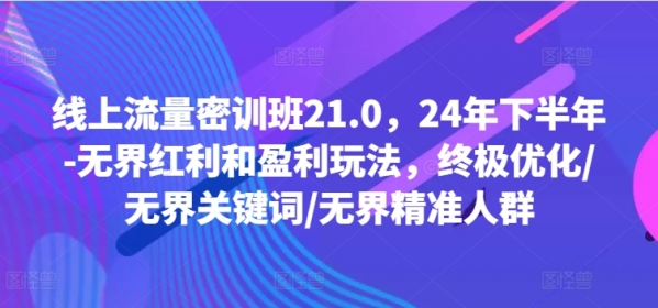 线上流量密训班21.0，24年下半年-无界红利和盈利玩法，终极优化/无界关键词/无界精准人群 - 163资源网-163资源网