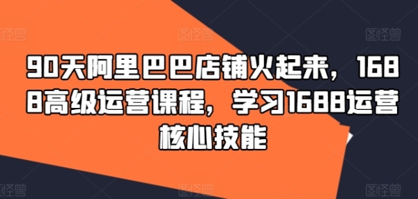 90天阿里巴巴店铺火起来，1688高级运营课程，学习1688运营核心技能 - 163资源网-163资源网