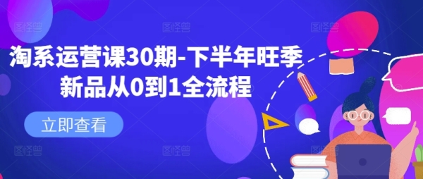 淘系运营课30期-下半年旺季新品从0到1全流程 - 163资源网-163资源网