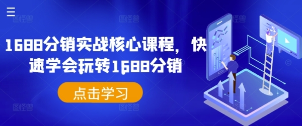 1688分销实战核心课程，快速学会玩转1688分销 - 163资源网-163资源网