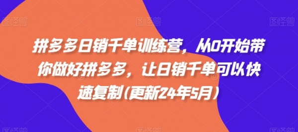 拼多多日销千单训练营，从0开始带你做好拼多多，让日销千单可以快速复制(更新24年6月) - 163资源网-163资源网