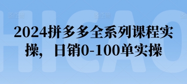 2024拼多多全系列课程实操，日销0-100单实操【必看】 - 163资源网-163资源网