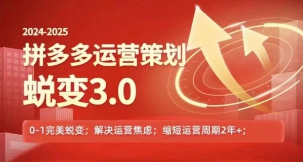 2024-2025拼多多运营策略蜕变3.0，0~1完美蜕变，解决信息焦虑 - 163资源网-163资源网