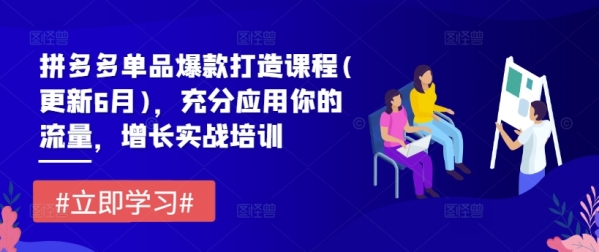 拼多多单品爆款打造课程(更新6月)，充分应用你的流量，增长实战培训 - 163资源网-163资源网