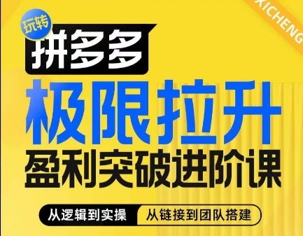 拼多多极限拉升盈利突破进阶课，​从算法到玩法，从玩法到团队搭建，体系化系统性帮助商家实现利润提升 - 163资源网-163资源网