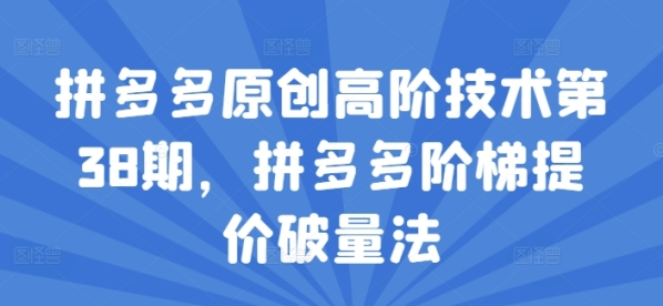 拼多多原创高阶技术第38期，拼多多阶梯提价破量法 - 163资源网-163资源网